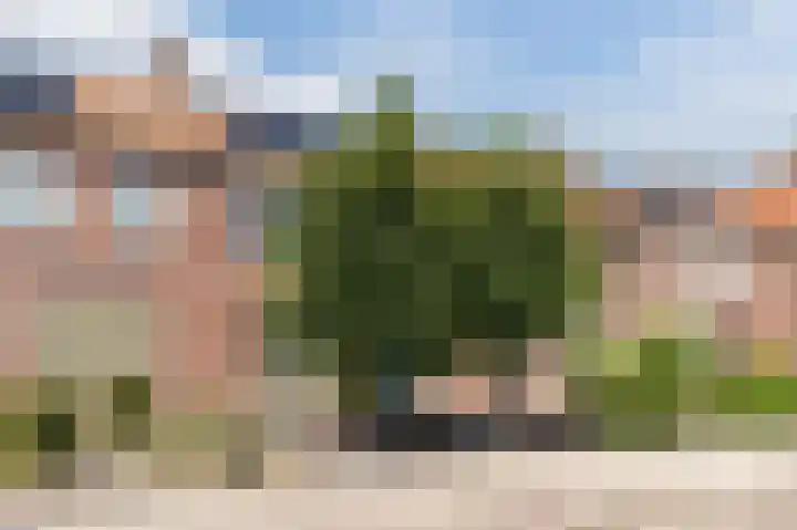De Witstraat 6 Veldhoven thumbnail 44