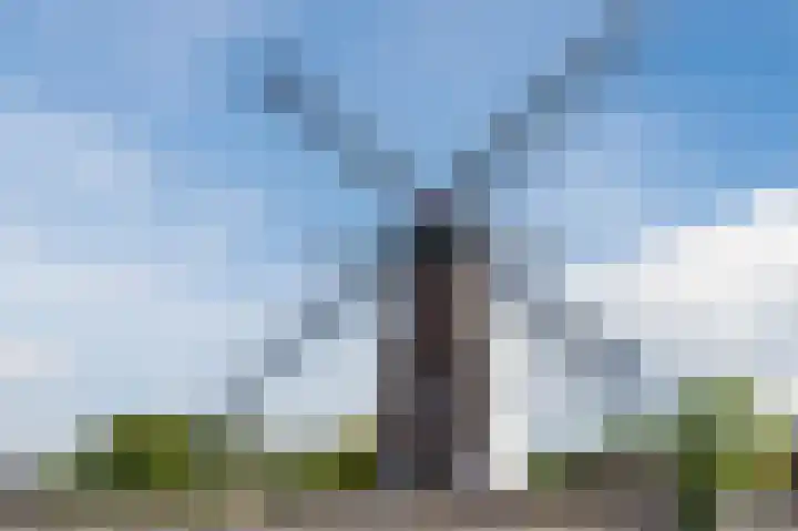 De Witstraat 6 Veldhoven thumbnail 51