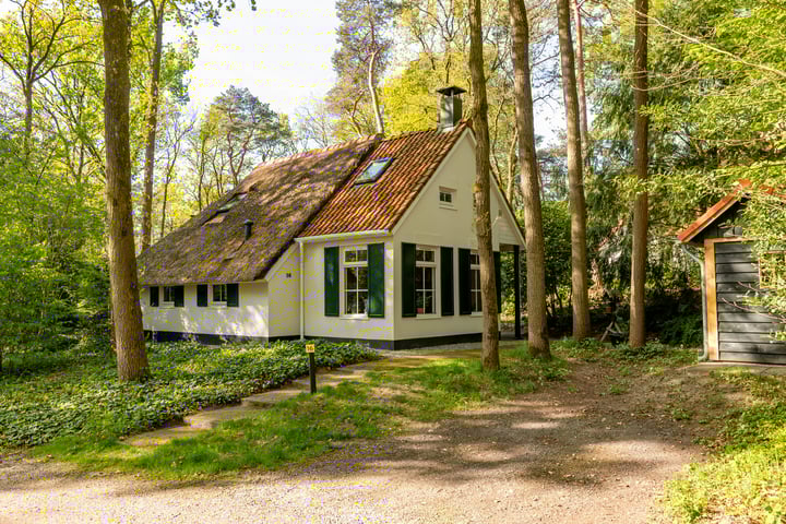 De Witte Bergen 16 in IJhorst Foto