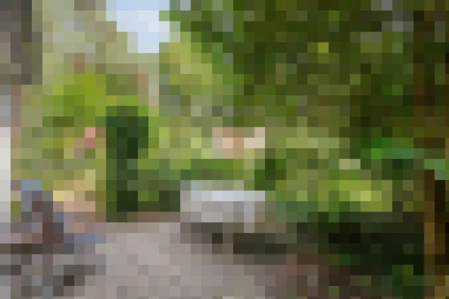 De Witte Bergen 24 IJhorst thumbnail 22