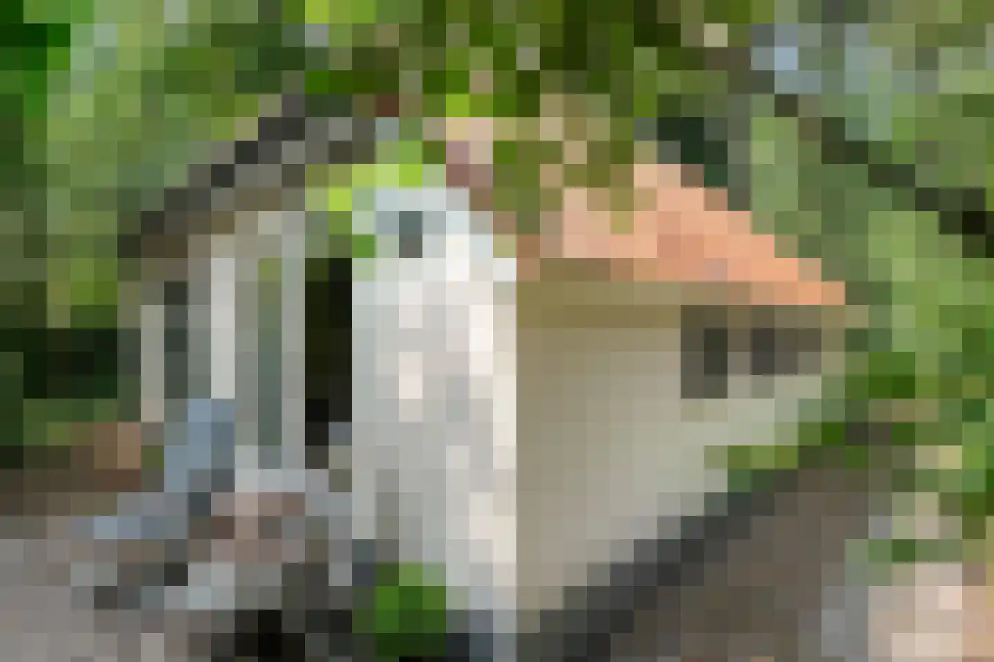 De Witte Bergen 24 IJhorst thumbnail 25