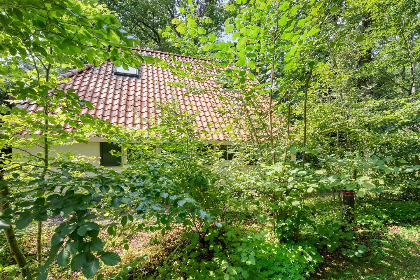 De Witte Bergen 24 IJhorst thumbnail 26