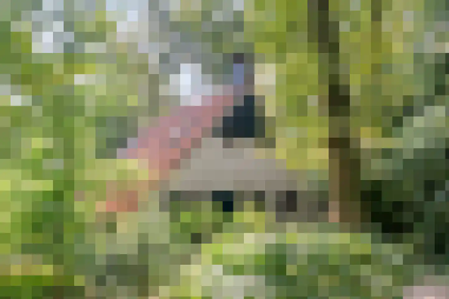 De Witte Bergen 24 IJhorst thumbnail 32