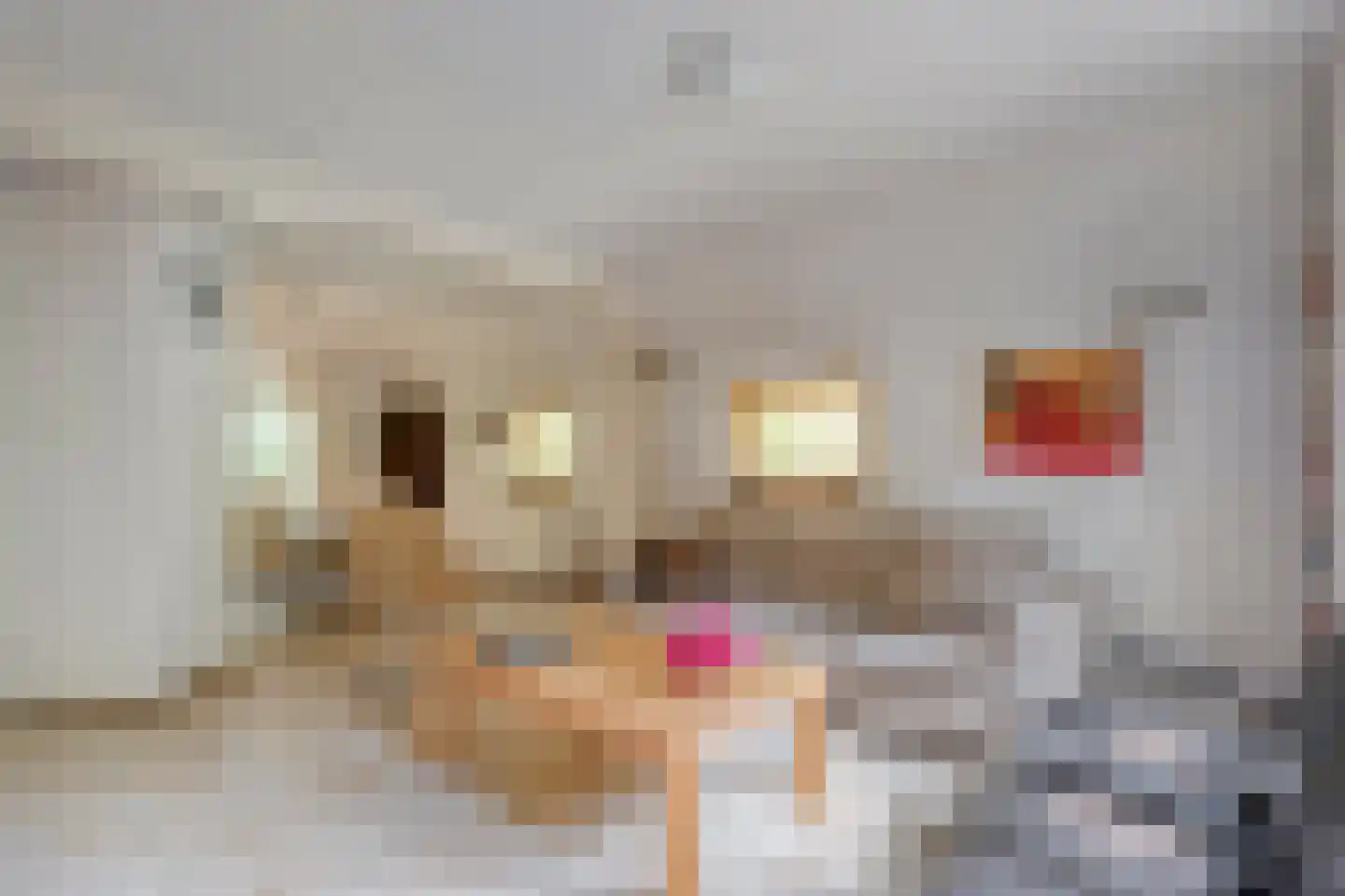 De Witte Bergen 24 IJhorst thumbnail 5