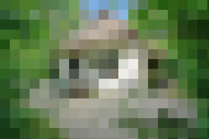 De Witte Bergen 43 IJhorst thumbnail 31