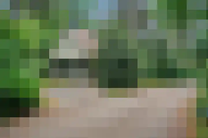 De Witte Bergen 43 IJhorst thumbnail 36