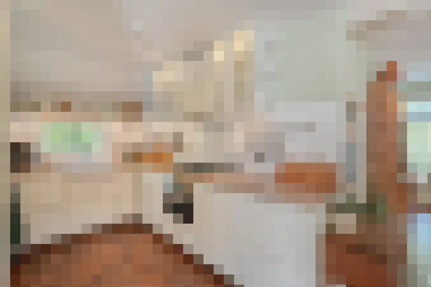 De Witte Bergen 45 IJhorst thumbnail 12