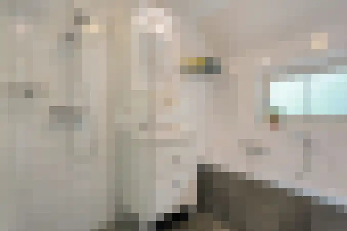 De Witte Bergen 45 IJhorst thumbnail 20