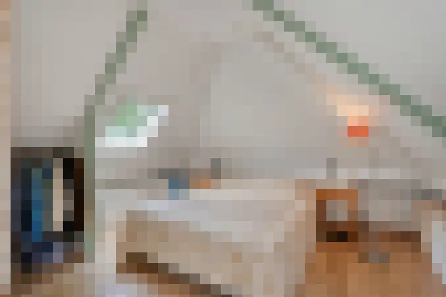 De Witte Bergen 45 IJhorst thumbnail 23