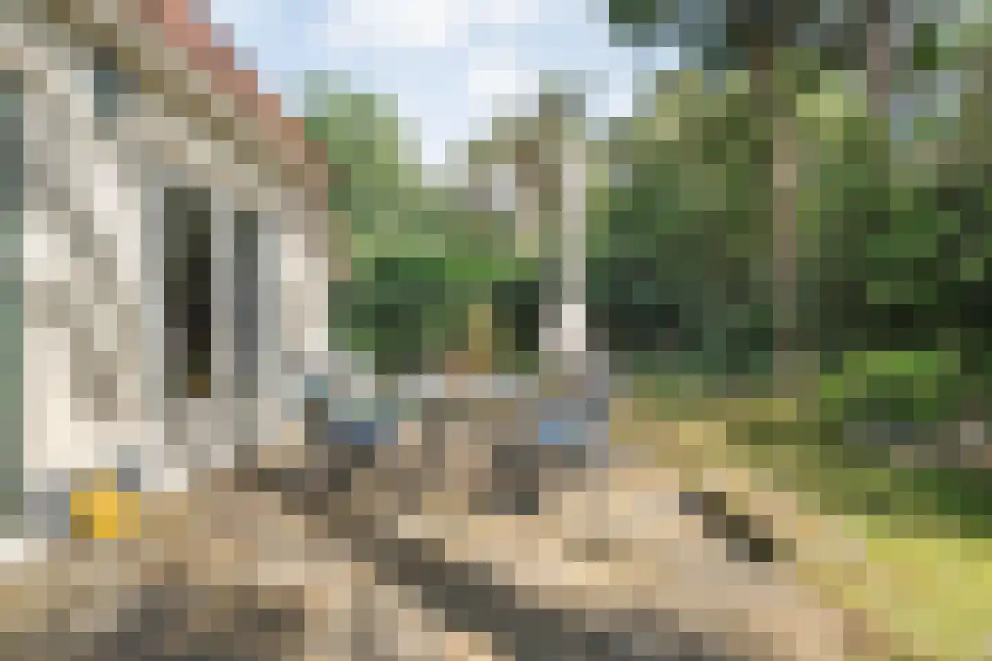 De Witte Bergen 45 IJhorst thumbnail 32