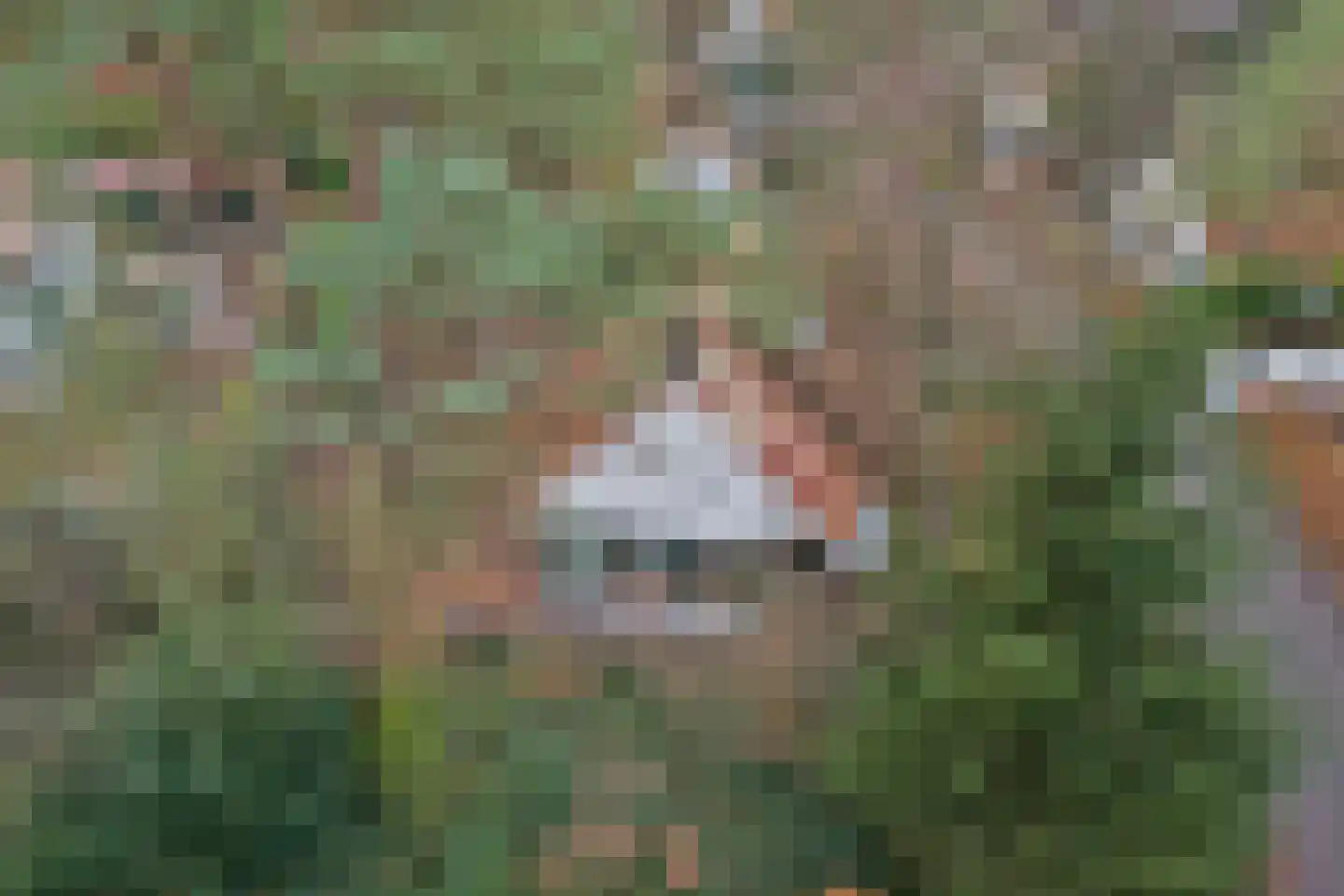 De Witte Bergen 46 IJhorst thumbnail 35