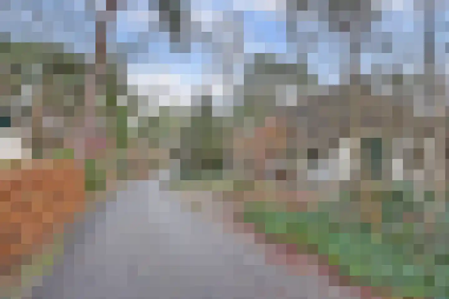 De Witte Bergen 46 IJhorst thumbnail 6