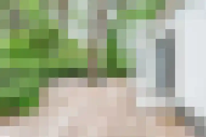 De Witte Bergen 61 IJhorst thumbnail 12