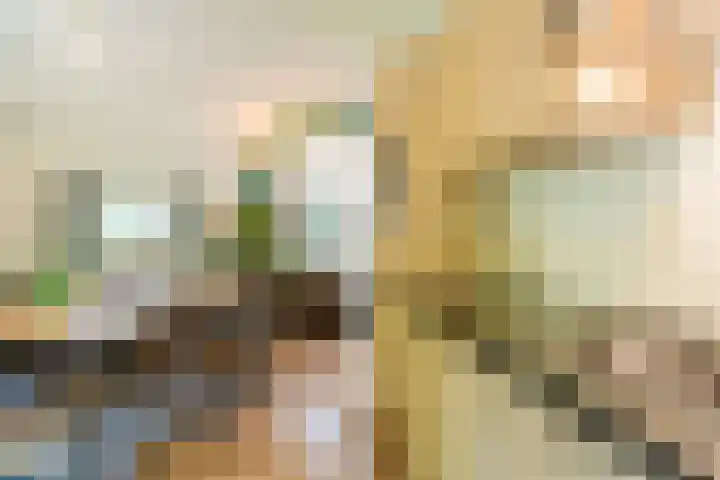 De Witte Bergen 61 IJhorst thumbnail 6