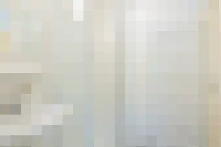 De Witte Bergen 61 IJhorst thumbnail 9