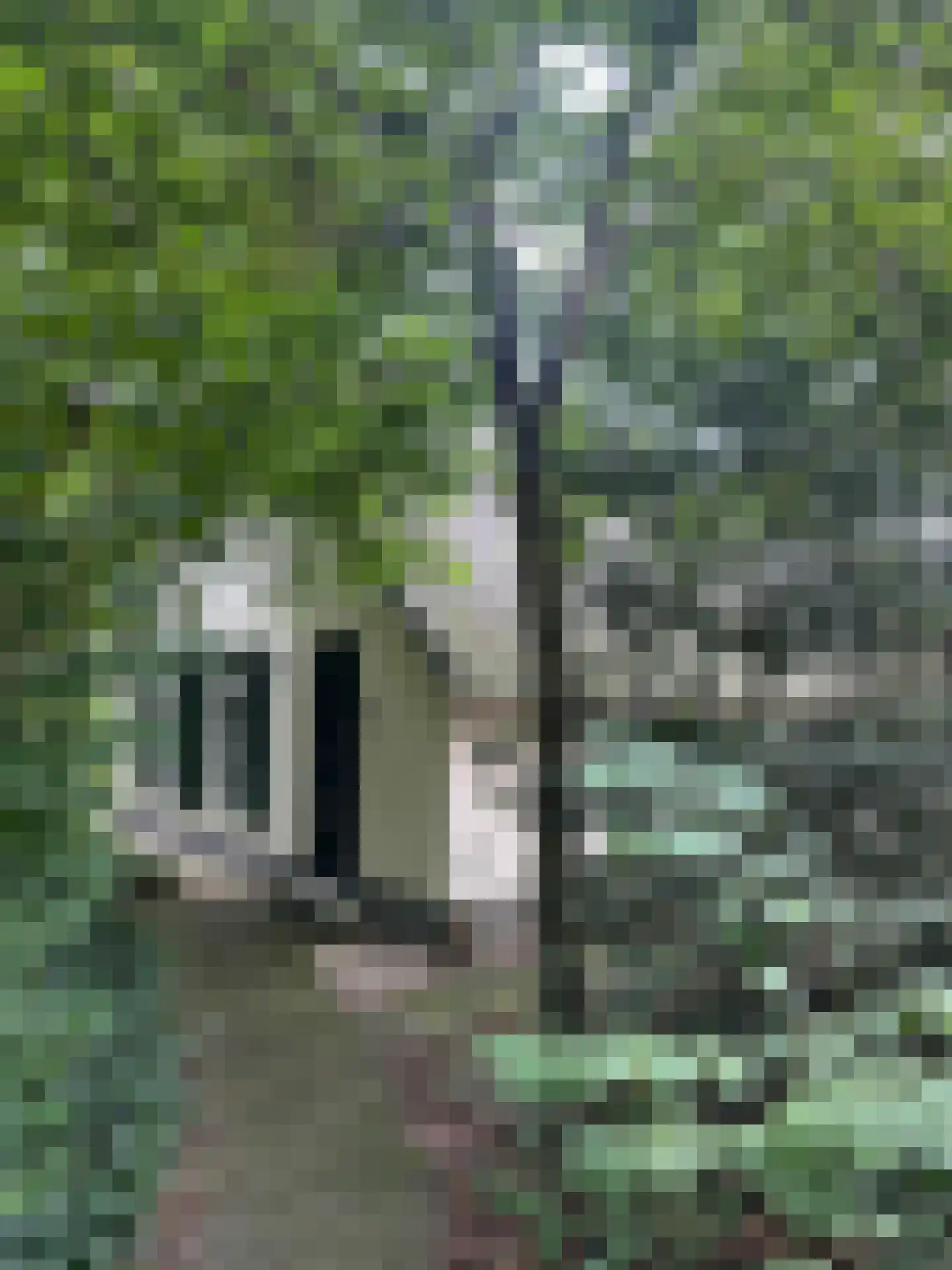 De Witte Bergen 65 IJhorst thumbnail 19
