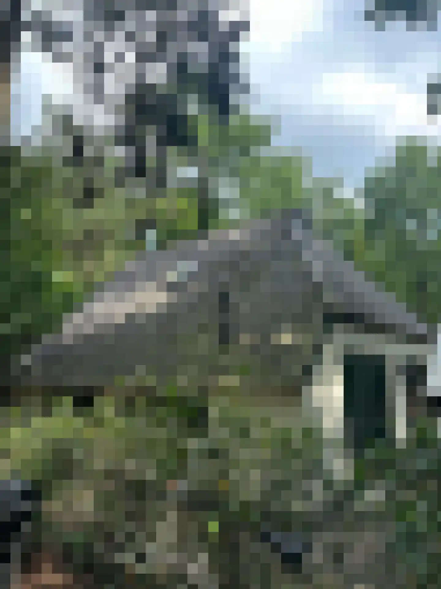 De Witte Bergen 65 IJhorst thumbnail 25