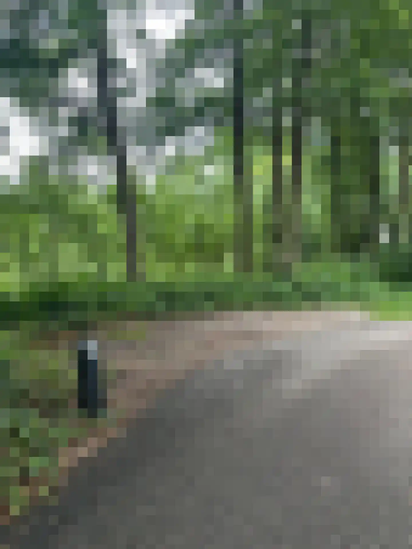 De Witte Bergen 65 IJhorst thumbnail 26