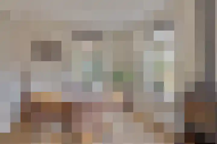 De Witte Bergen 72 IJhorst thumbnail 12