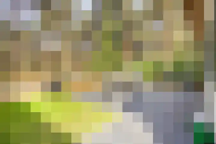 De Witte Bergen 72 IJhorst thumbnail 26