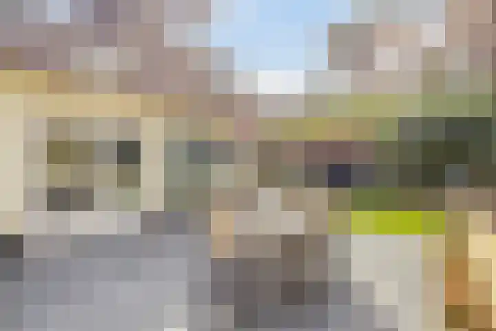 De Witte Bergen 72 IJhorst thumbnail 27