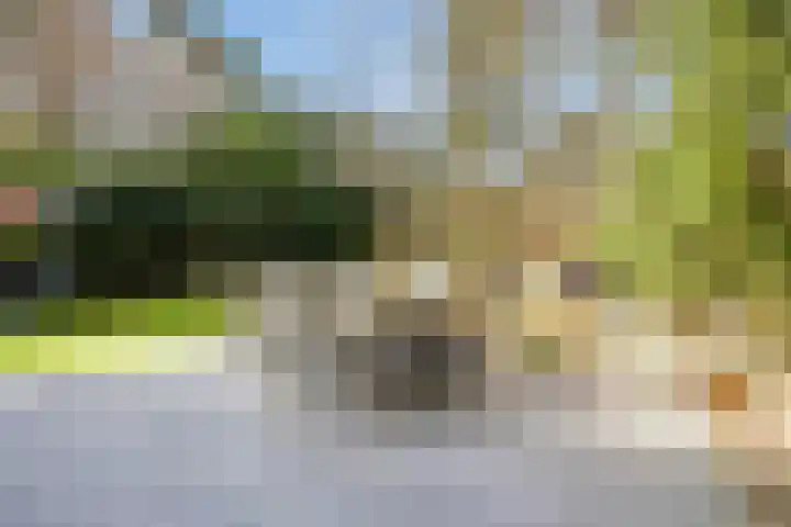 De Witte Bergen 72 IJhorst thumbnail 28