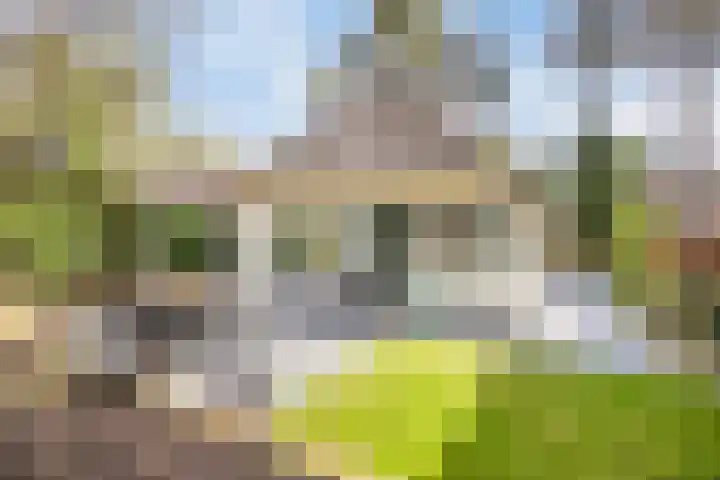 De Witte Bergen 72 IJhorst thumbnail 30