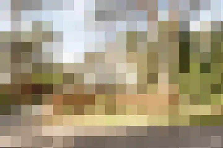 De Witte Bergen 72 IJhorst thumbnail 31