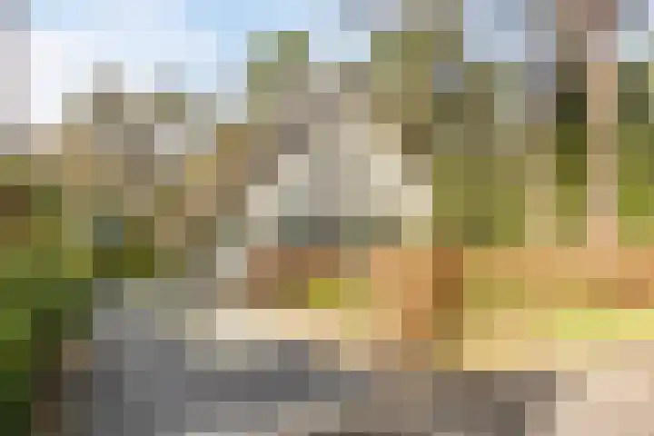 De Witte Bergen 72 IJhorst thumbnail 35