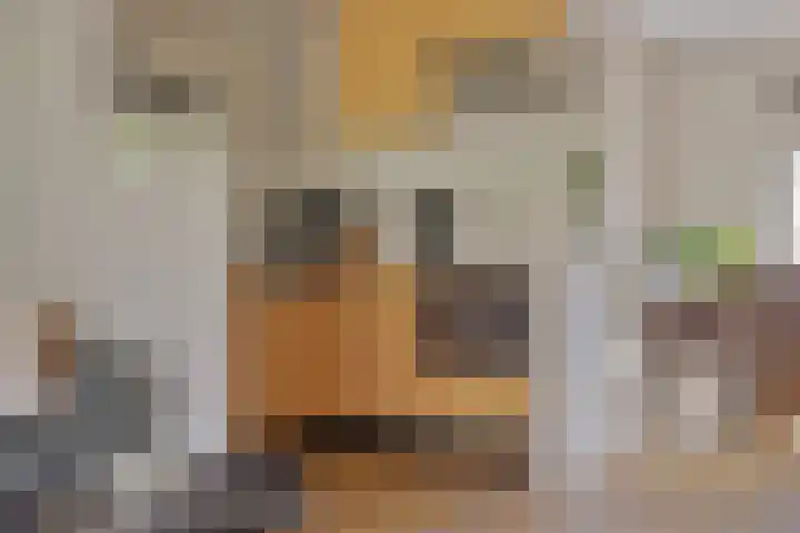 De Witte Bergen 72 IJhorst thumbnail 8
