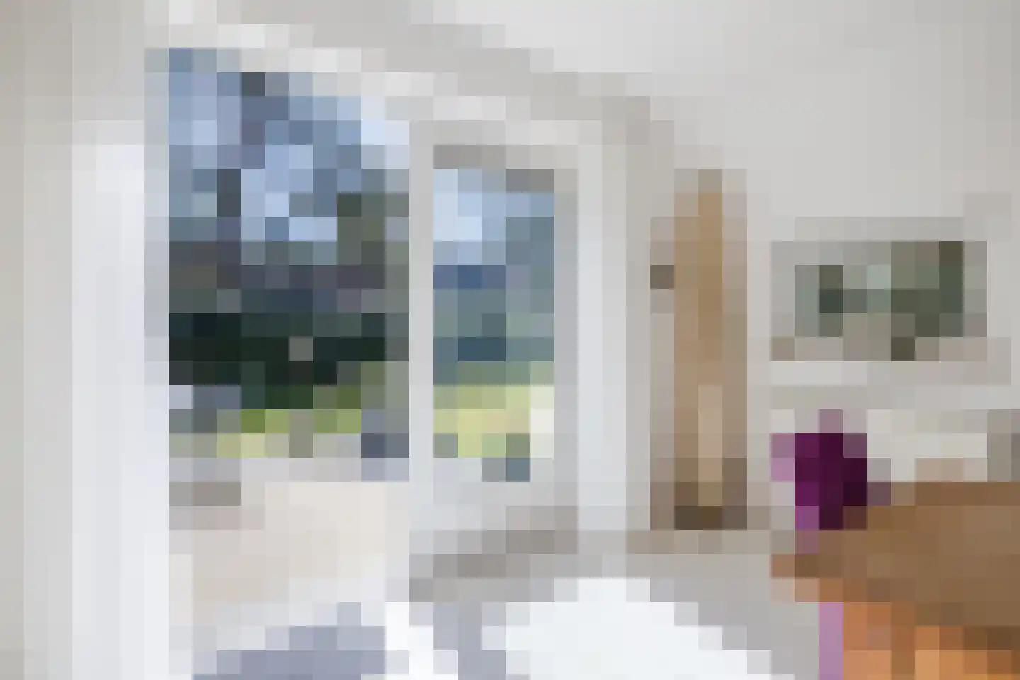 De Witte Bergen 80 IJhorst thumbnail 13