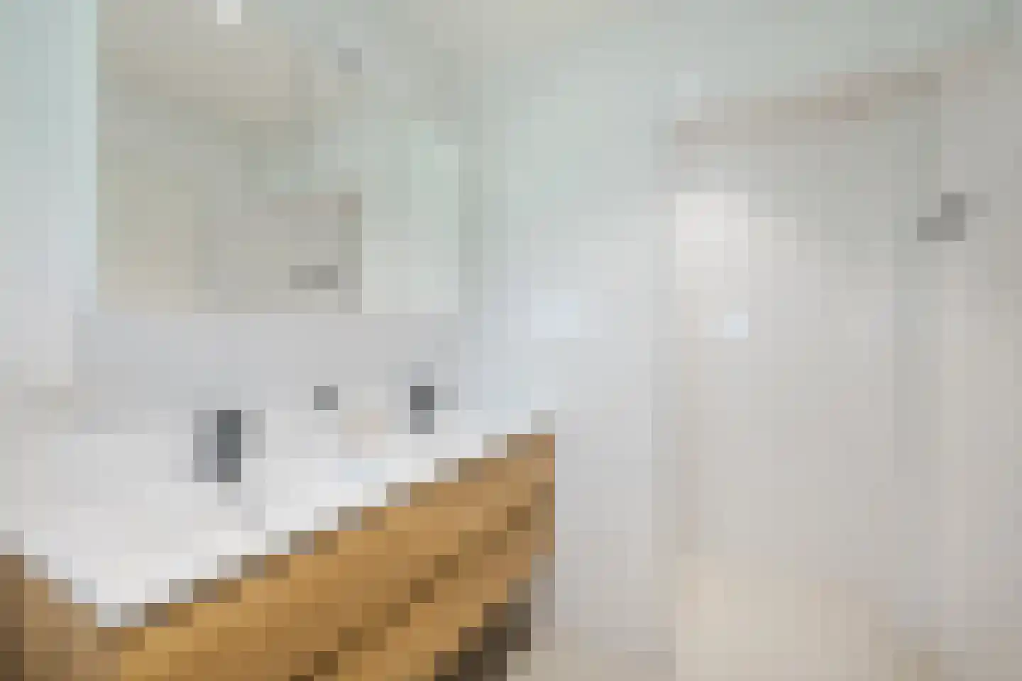 De Witte Bergen 80 IJhorst thumbnail 17