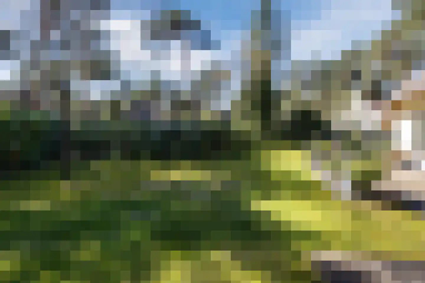 De Witte Bergen 80 IJhorst thumbnail 36