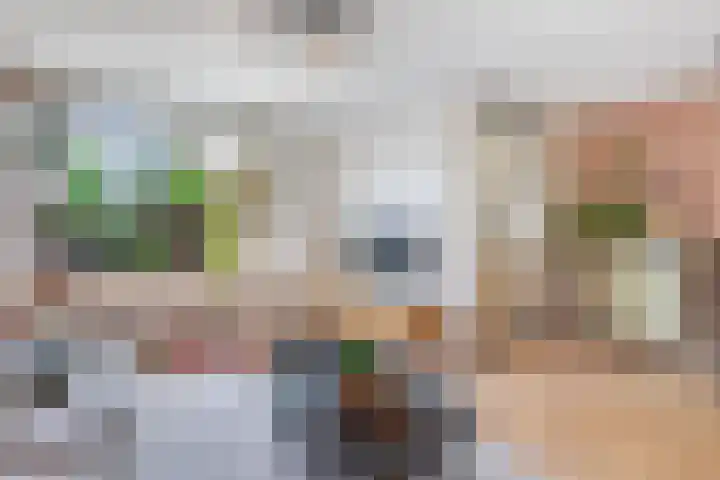 De witte Emile 16 Wateringen thumbnail 13