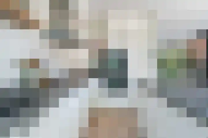 De witte Emile 16 Wateringen thumbnail 14