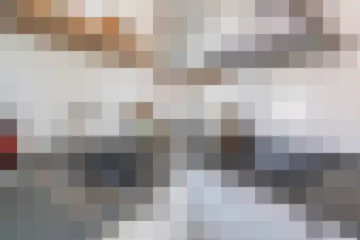 De witte Emile 16 Wateringen thumbnail 15