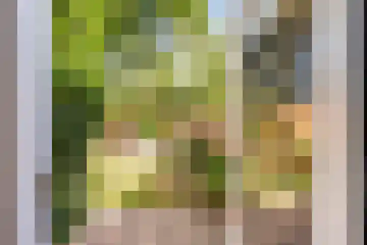 De witte Emile 16 Wateringen thumbnail 16