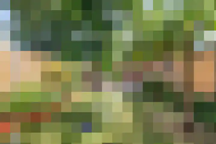 De witte Emile 16 Wateringen thumbnail 18