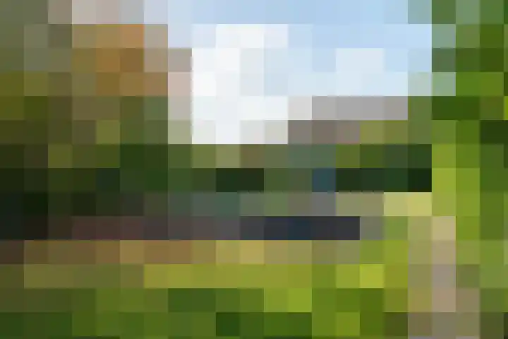 De witte Emile 16 Wateringen thumbnail 47