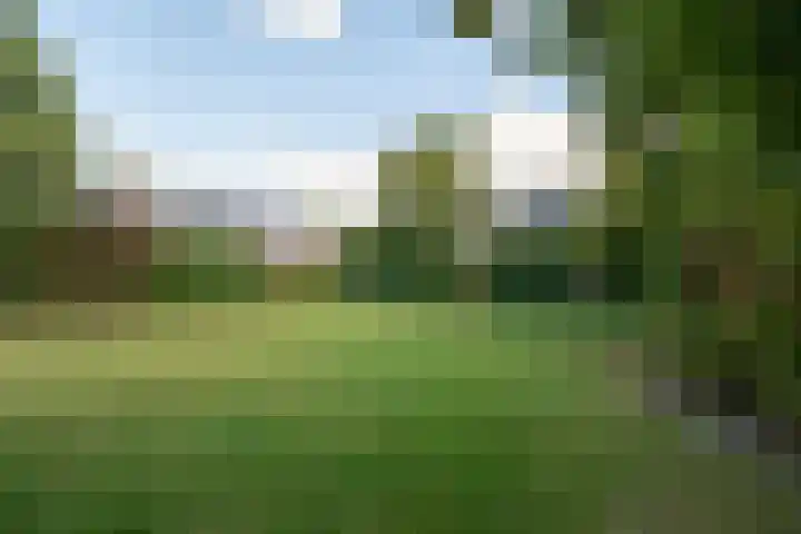 De witte Emile 16 Wateringen thumbnail 49