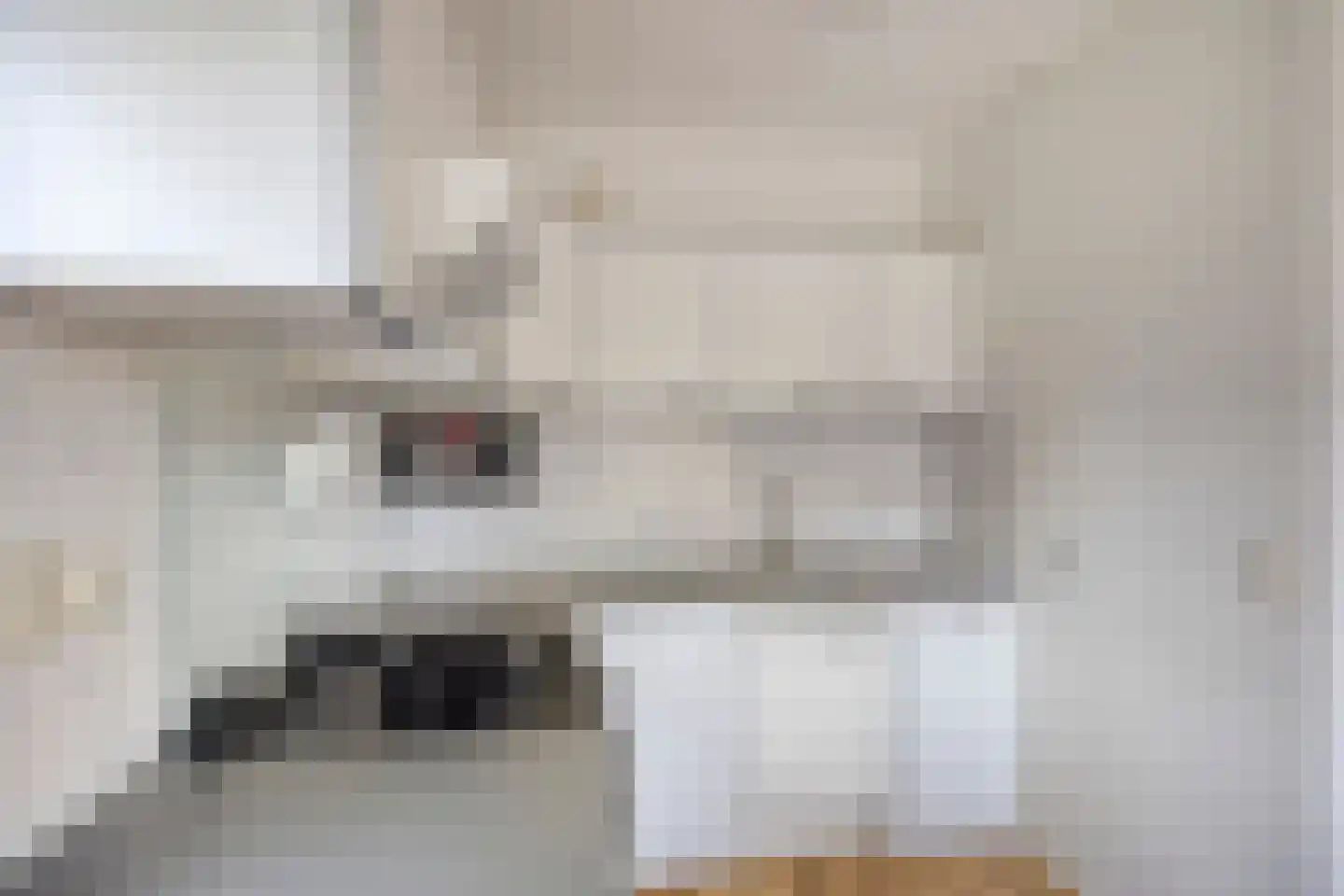 De Witte Raaflaan 109 Noordwijk thumbnail 16