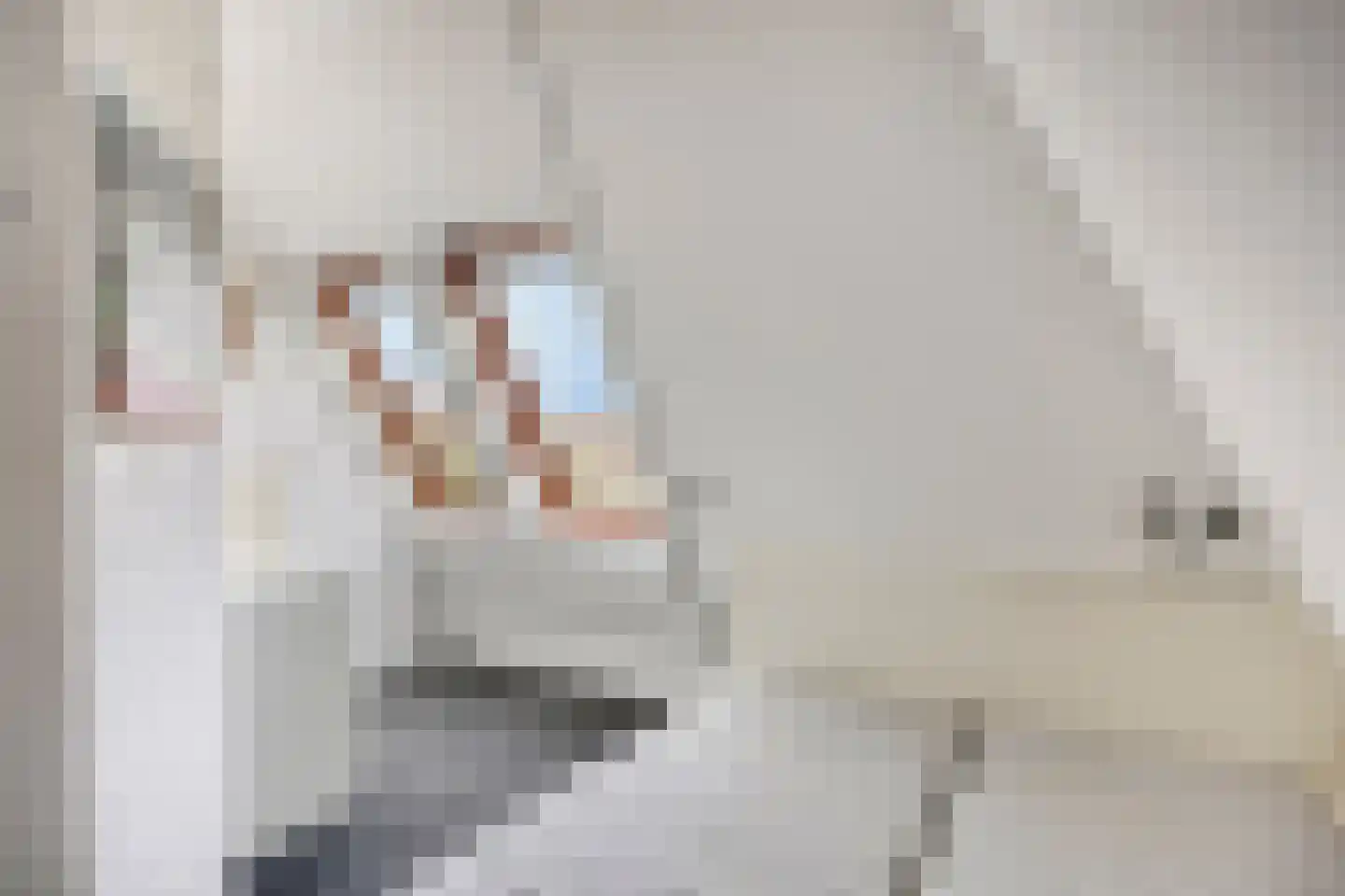 De Witte Raaflaan 109 Noordwijk thumbnail 20