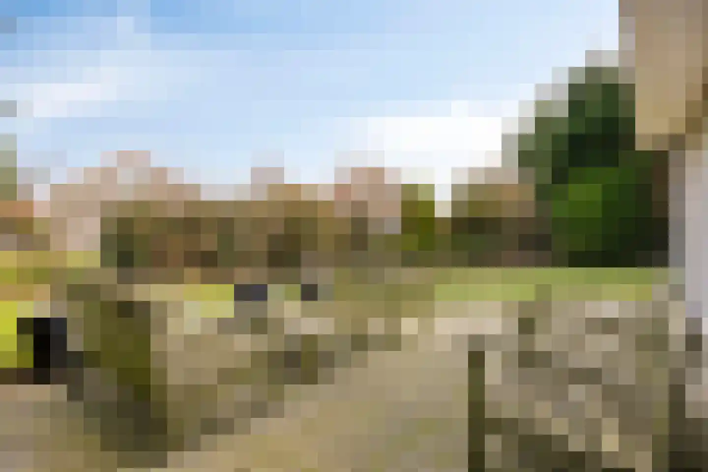 De Witte Raaflaan 109 Noordwijk thumbnail 30