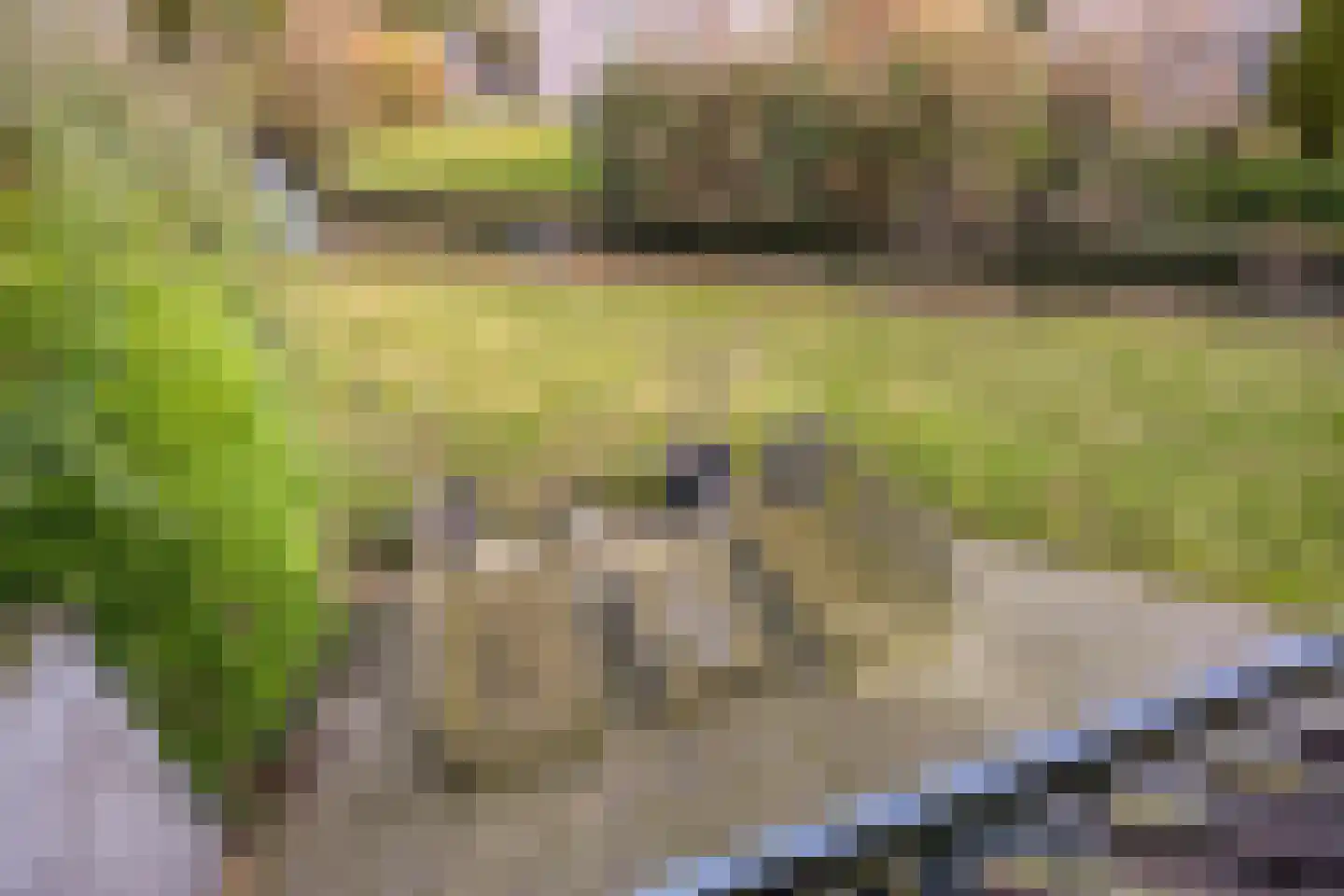 De Witte Raaflaan 109 Noordwijk thumbnail 34