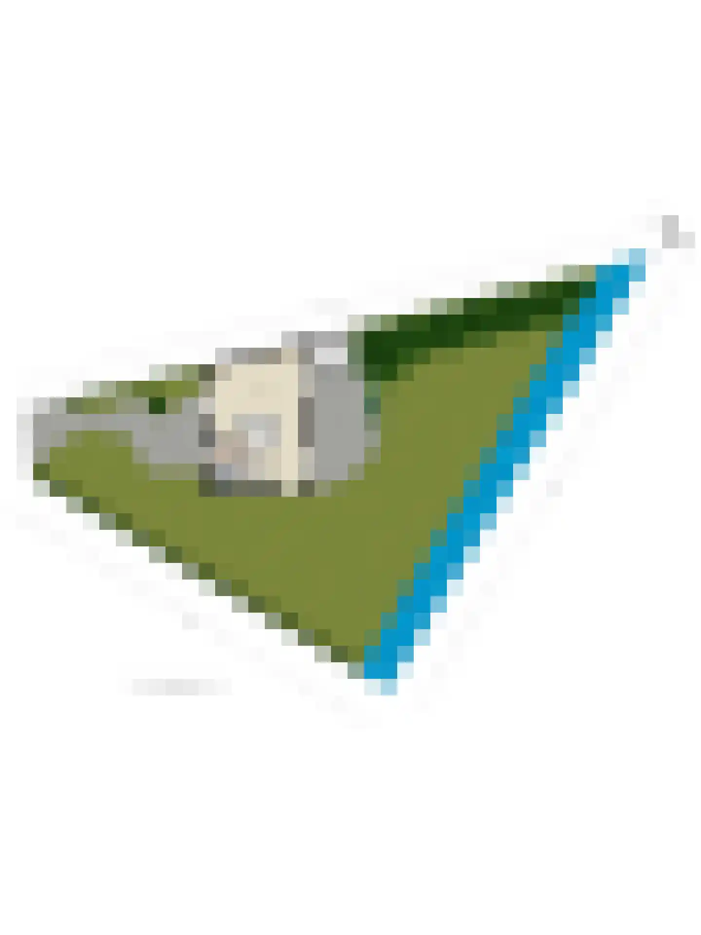 De Witte Raaflaan 109 Noordwijk thumbnail 41