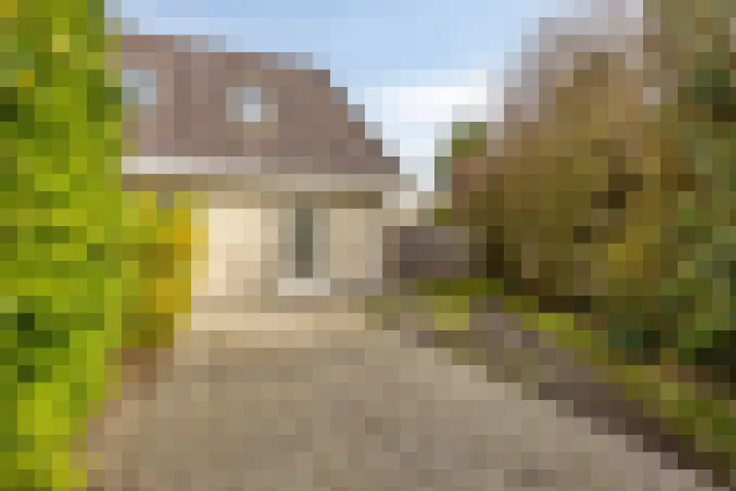 De Witte Raaflaan 109 Noordwijk thumbnail 6