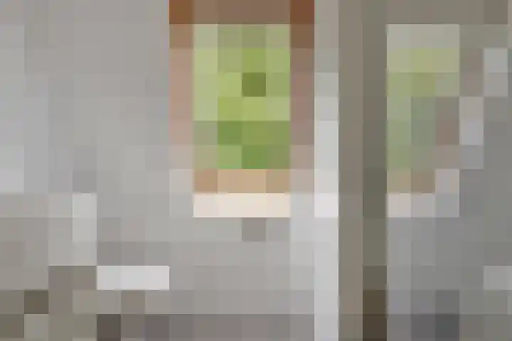 De Witte Raaflaan 148 Noordwijk thumbnail 16