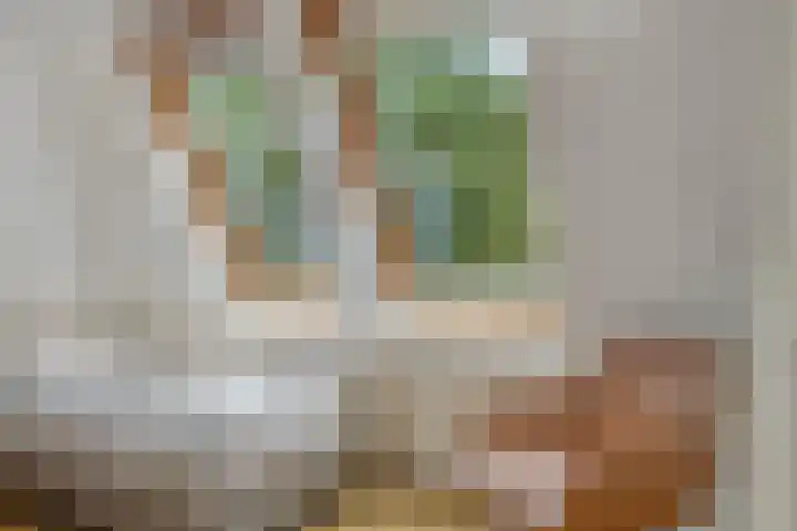 De Witte Raaflaan 148 Noordwijk thumbnail 21