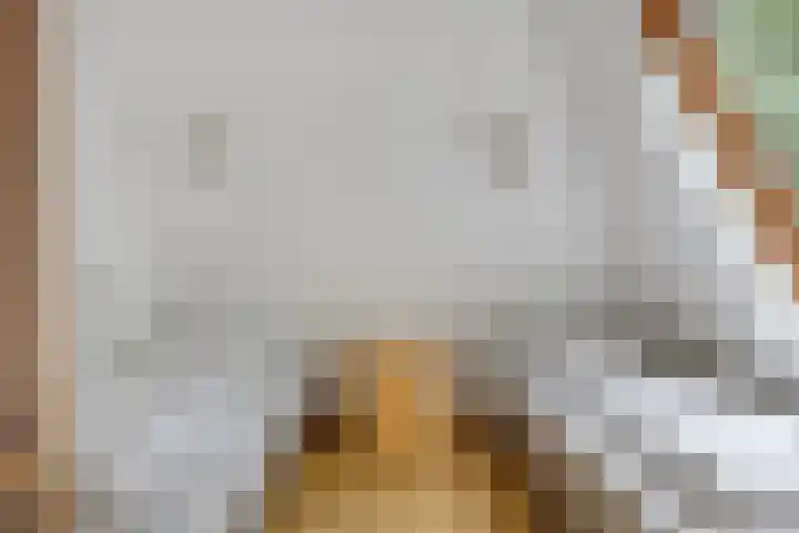 De Witte Raaflaan 148 Noordwijk thumbnail 22