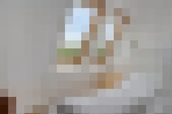 De Witte Raaflaan 148 Noordwijk thumbnail 24